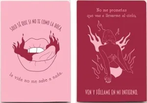 PACK 2 CUADERNOS COSIDOS ANIMALISMO POÉTICO 'SOLO SÉ Y CIELO E INFIERNO'