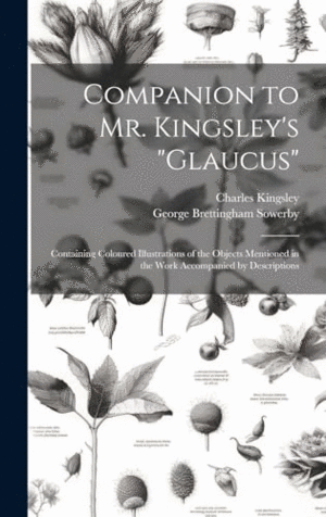COMPANION TO MR. KINGSLEY´S ´GLAUCUS´. CONTAINING COLOURED ILLUSTRATIONS OF THE OBJECTS MENTIONED IN