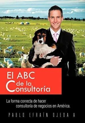 El Abc de la Consultoria
