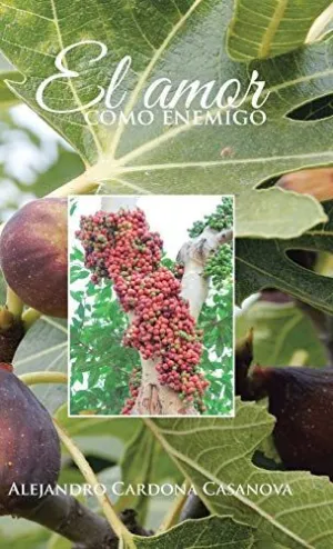 El Amor Como Enemigo