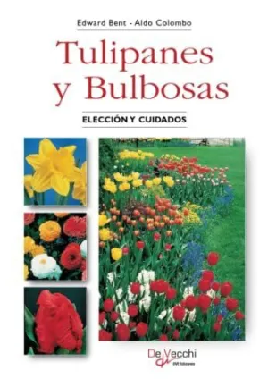 Tulipanes y Bulbosas