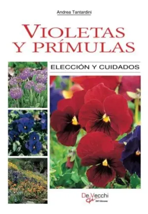Violetas y Prímulas