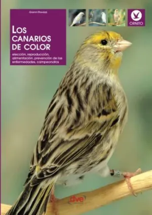 Los Canarios de Color