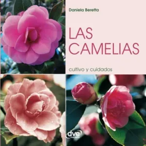 Las Camelias