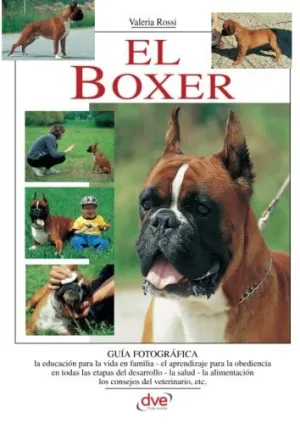 El Boxer