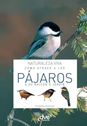 Cómo Atraer a los Pájaros a Su Balcón o Jardín