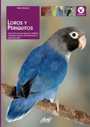 Loros y Periquitos
