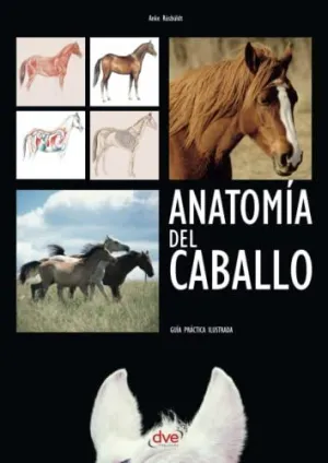 ANATOMÍA DEL CABALLO ANATOMÍA DEL CABALLO