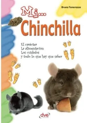 MI... CHINCHILLA