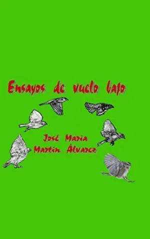 Ensayos de Vuelo Bajo