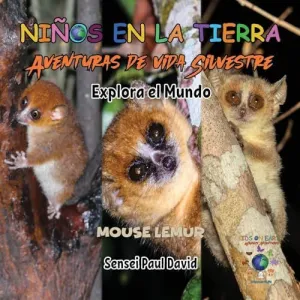 NIN~OS EN LA TIERRA AVENTURAS DE VIDA SILVESTRE - EXPLORA EL MUNDO MOUSE LEMUR - MADAGASCAR NIN~OS EN LA TIERRA AVENTURAS DE VIDA SILVESTRE - EXPLORA EL MUNDO MOUSE LEMUR - MADAGASCAR