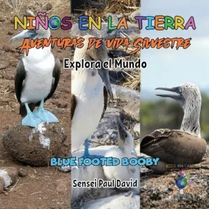 NIN~OS EN LA TIERRA - AVENTURAS DE VIDA SILVESTRE - EXPLORA EL MUNDO BLUE FOOTED BOOBY - ECUADOR