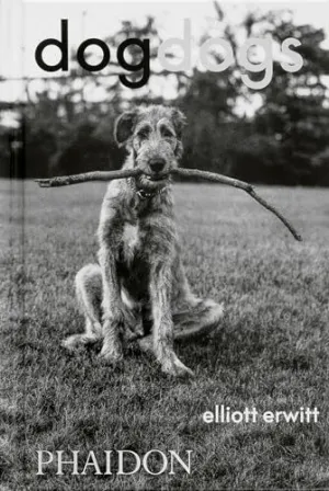 DOGDOGS
