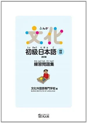 BUNKA SHOKYU NIHONGO 2 EJERCICIOS