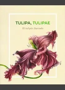 TULIPA, TULIPAE: EL TULIPÁN ILUSTRADO TULIPA, TULIPAE: EL TULIPÁN ILUSTRADO
