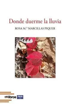 Donde Duerme la Lluvia.