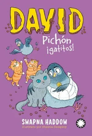 David Pichon 5 Gatitos