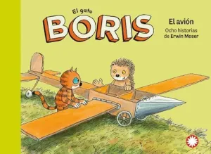El Gato Boris 6 el Avion