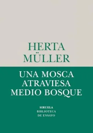 UNA MOSCA ATRAVIESA MEDIO BOSQUE