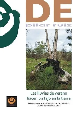 LLUVIAS DE VERANO HACEN UN TAJO EN LA TIERRA, LAS