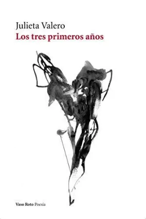 LOS TRES PRIMEROS AÑOS