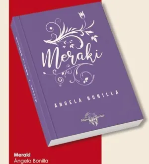 Meraki