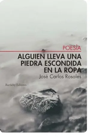 ALGUIEN LLEVA UNA PIEDRA ESCONDIDA EN LA ROPA