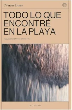 TODO LO QUE ENCONTRÉ EN LA PLAYA