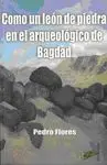 COMO UN LEON DE PIEDRA EN EL ARQUEOLOGICO DE BAGDAD