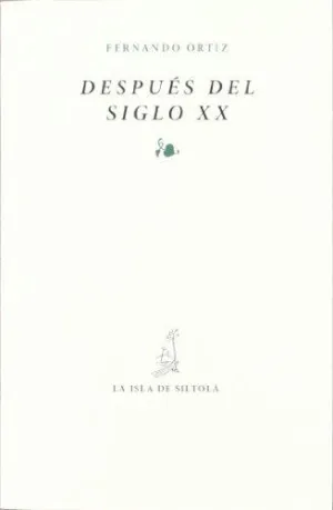 DESPUES DEL SIGLO XX
