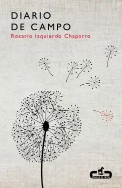 DIARIO DE CAMPO DIARIO DE CAMPO