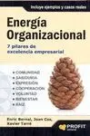 ENERGIA ORGANIZACIONAL: 7 PILARES DE EXCELENCIA EMPRESARIAL
