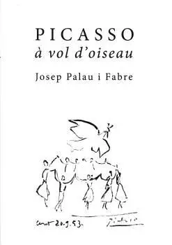PICASSO À VOL D´OISEAU