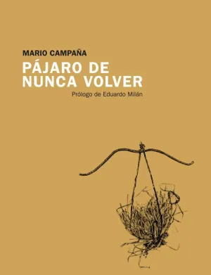 PÁJARO DE NUNCA VOLVER