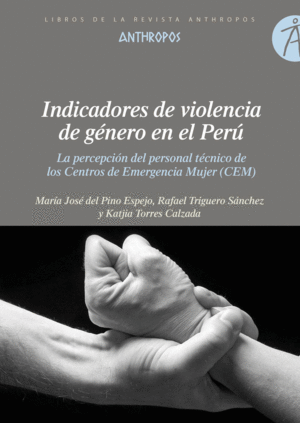 INDICADORES DE VIOLENCIA DE GÉNERO EN EL PERÚ : LA PERCEPCIÓN DEL PERSONAL TÉCNICO DE LOS CENTROS DE