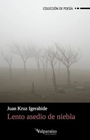 LENTO ASEDIO DE NIEBLA LENTO ASEDIO DE NIEBLA