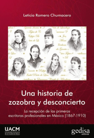 UNA HISTORIA DE ZOZOBRA Y DESCONCIERTO: LA RECEPCIÓN DE LAS PRIMERAS ESCRITORAS PROFESIONALES EN MÉX