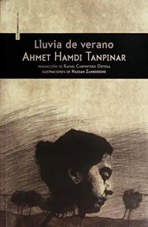 LLUVIA DE VERANO