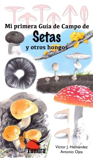 MI PRIMERA GUIA DE CAMPO DE SETAS Y OTROS HONGOS