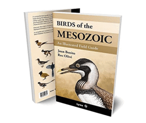 BIRDS OF THE MESOZOIC. AN ILLUSTRATED FIELD GUIDE