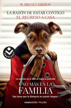 LA RAZON DE ESTAR CONTIGO: EL REGRESO A CASA