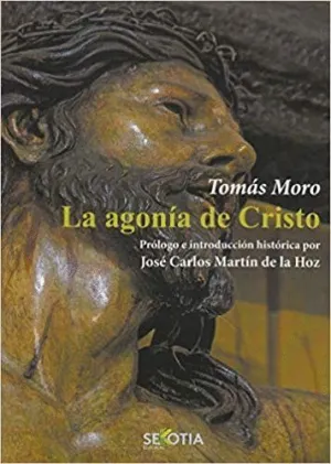 LA AGONIA DE CRISTO