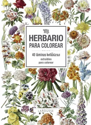 MI HERBARIO PARA COLOREAR MI HERBARIO PARA COLOREAR