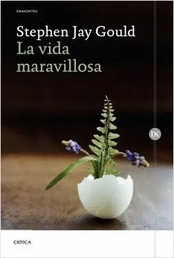 LA VIDA MARAVILLOSA LA VIDA MARAVILLOSA