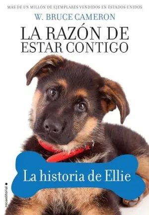 RAZON DE ESTAR CONTIGO. HISTORIA DE ELLI
