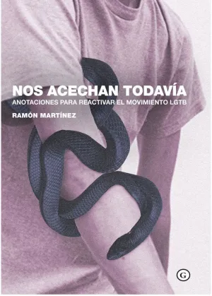 NOS ACECHAN TODAVÍA. ANOTACIONES PARA REACTIVAR EL MOVIMIENTO LGTB