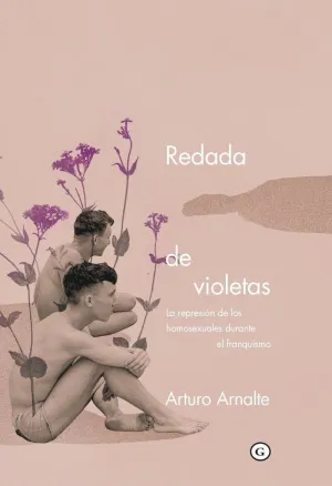 REDADA DE VIOLETAS: <BR>