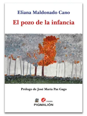 EL POZO DE LA INFANCIA