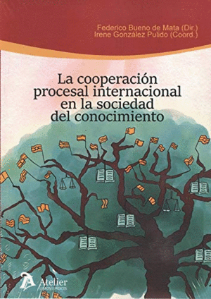 LA COOPERACION PROCESAL INTERNACIONAL EN LA SOCIEDAD DEL CONOCIMIENTO