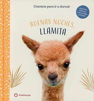 Buenas Noches Llamita